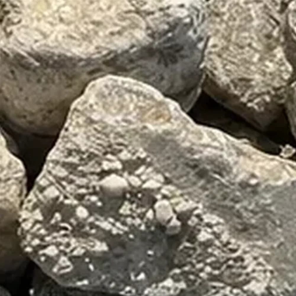 #4 Crushed Stone - Image 1