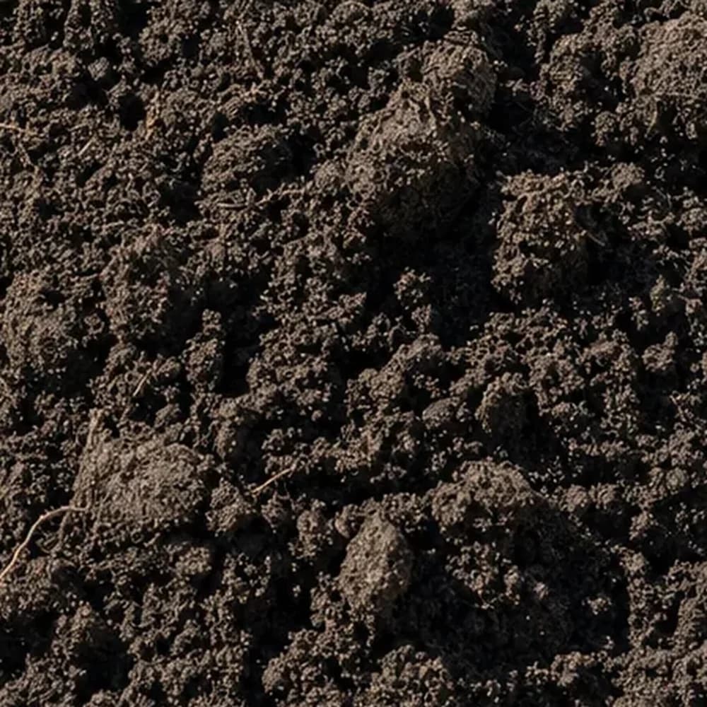 Top Soil - Image 1